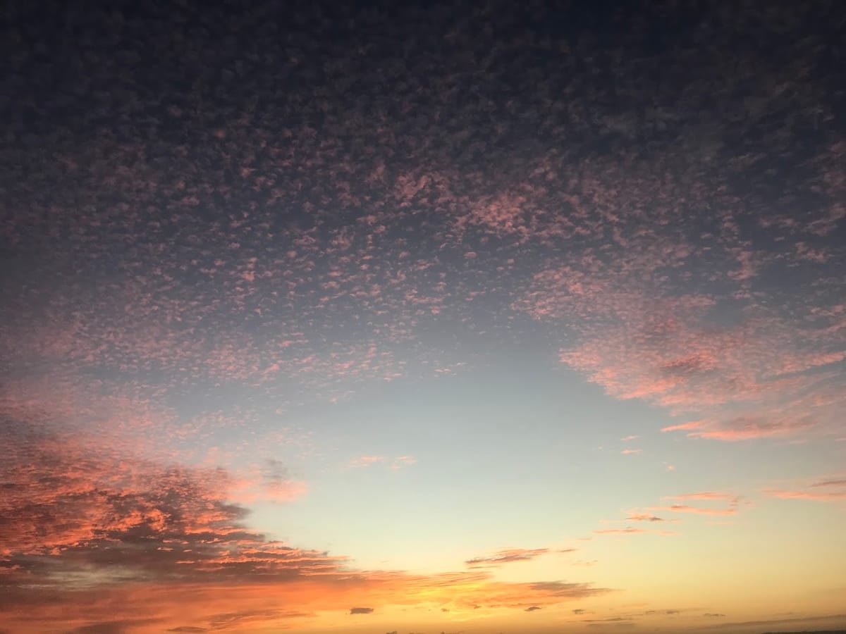 Bury and burn the treasure: or, why politicians don't "follow the science."